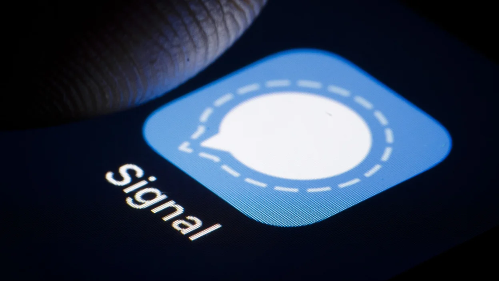 Signal: conheça aplicativo de mensagens que diz proteger privacidade do usuário