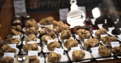 italy agriculture economy truffle fair