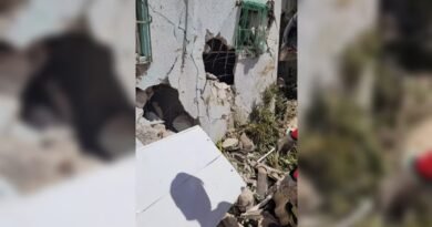 Veja imagens da destruição causada por explosão de prédio em Maceió