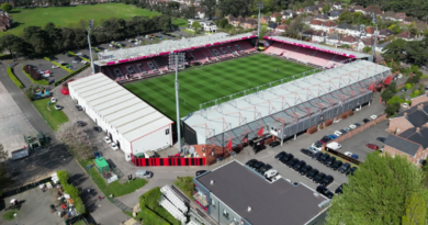 Bournemouth x Crystal Palace: horário e onde assistir ao jogo da Premier League