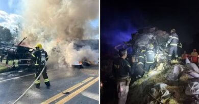 Caminhões batem, pegam fogo e quatro morrem carbonizados em Goiás