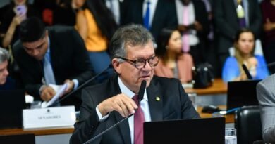 Comissão do Senado aprova projeto que incentiva transição energética