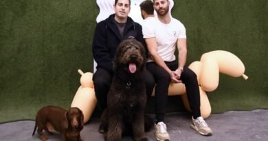 Creche “chic” para cães em NY tem vinho, yoga e terapeuta pet friendly