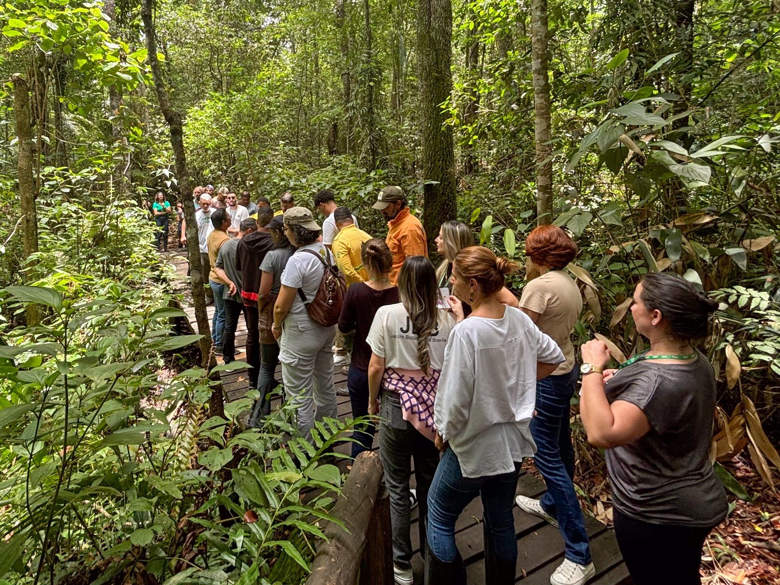 Jardim Botânico de Brasília: Um ano de conquistas e avanços na preservação do Cerrado