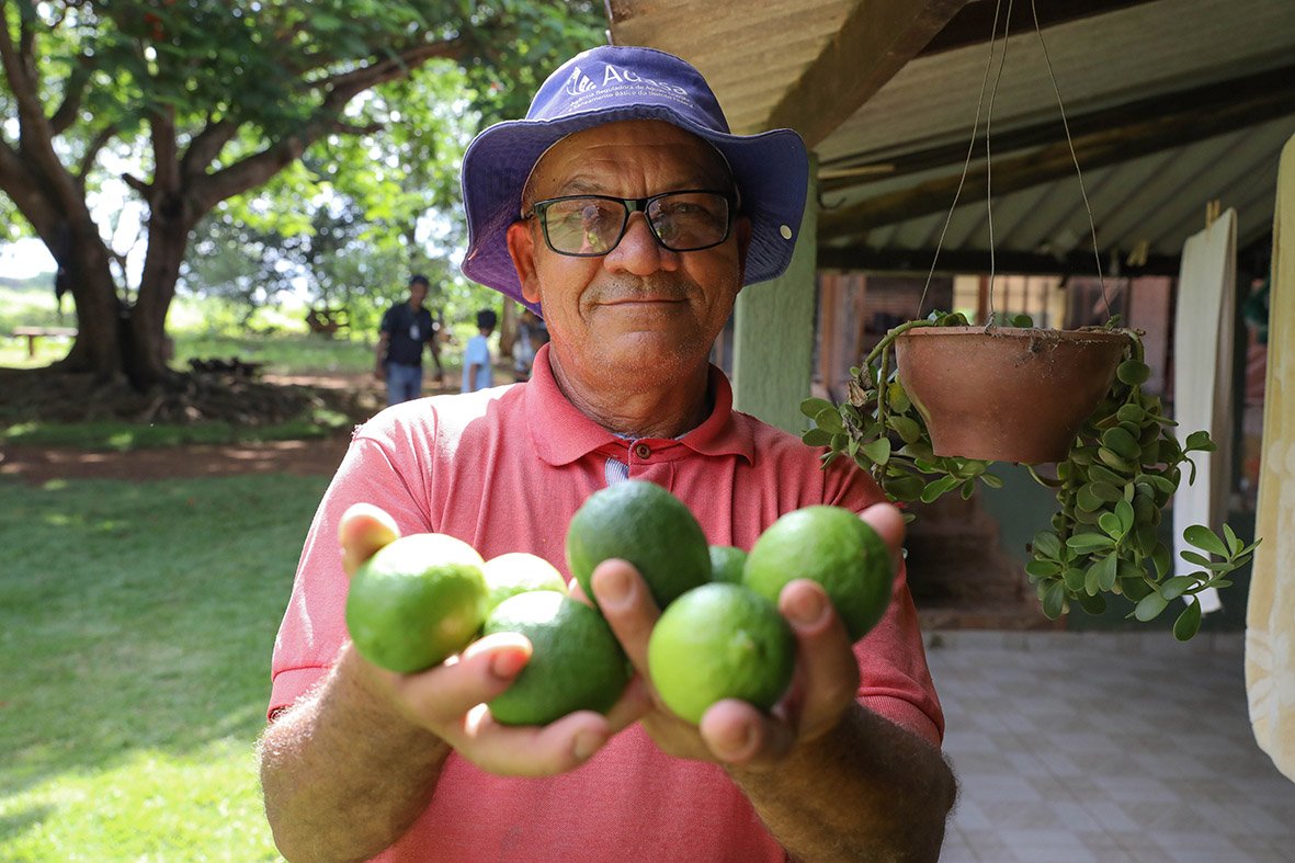 Mais de 300 produtores rurais do DF são certificados para produção orgânica