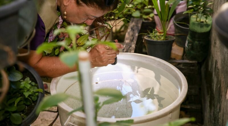 auditores vao focar na identificacao e eliminacao de possiveis criadouros do aedes aegypti. foto ualisson noronha agencia saude df 1920x1280