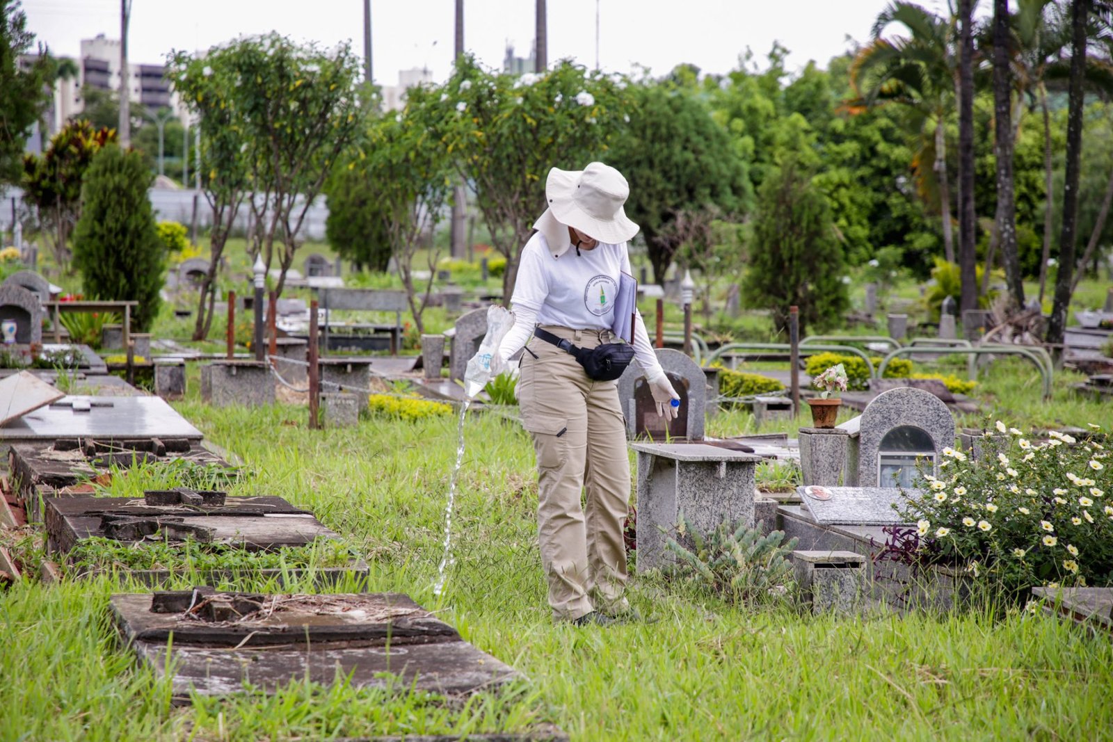 Ação de combate à dengue é realizada no cemitério Campo da Esperança