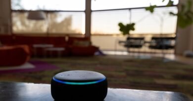 Amazon compartilha pedidos mais populares feitos para a Alexa em 2024