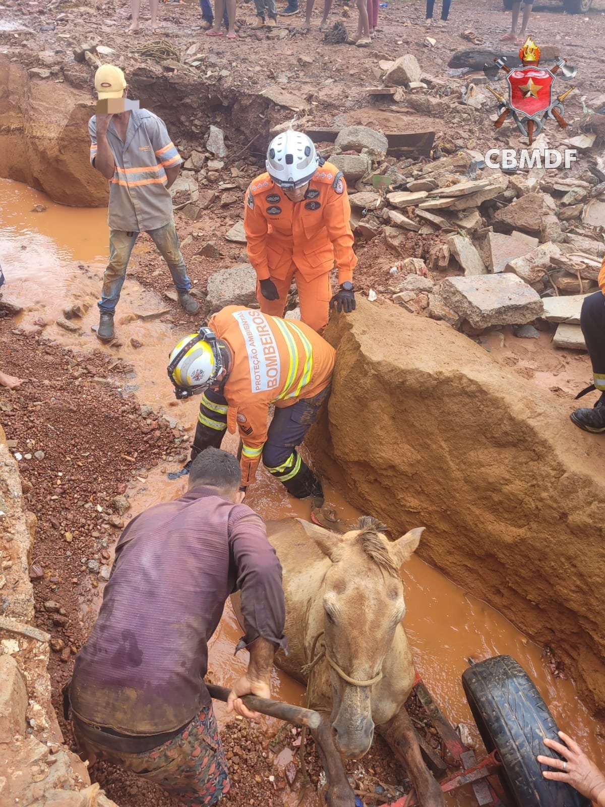 Bombeiros resgatam cavalo que caiu em buraco.