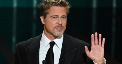 Brad Pitt se pronuncia sobre golpe de R$ 5 milhões com fotos fake