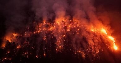 El Niño eleva risco de seca e incêndios na Amazônia, aponta estudo