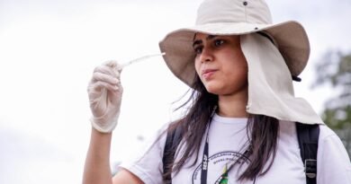 acoes da secretaria de saude sao determinantes para o controle da dengue no df. foto ualisson noronha agencia saude df 1920x1280