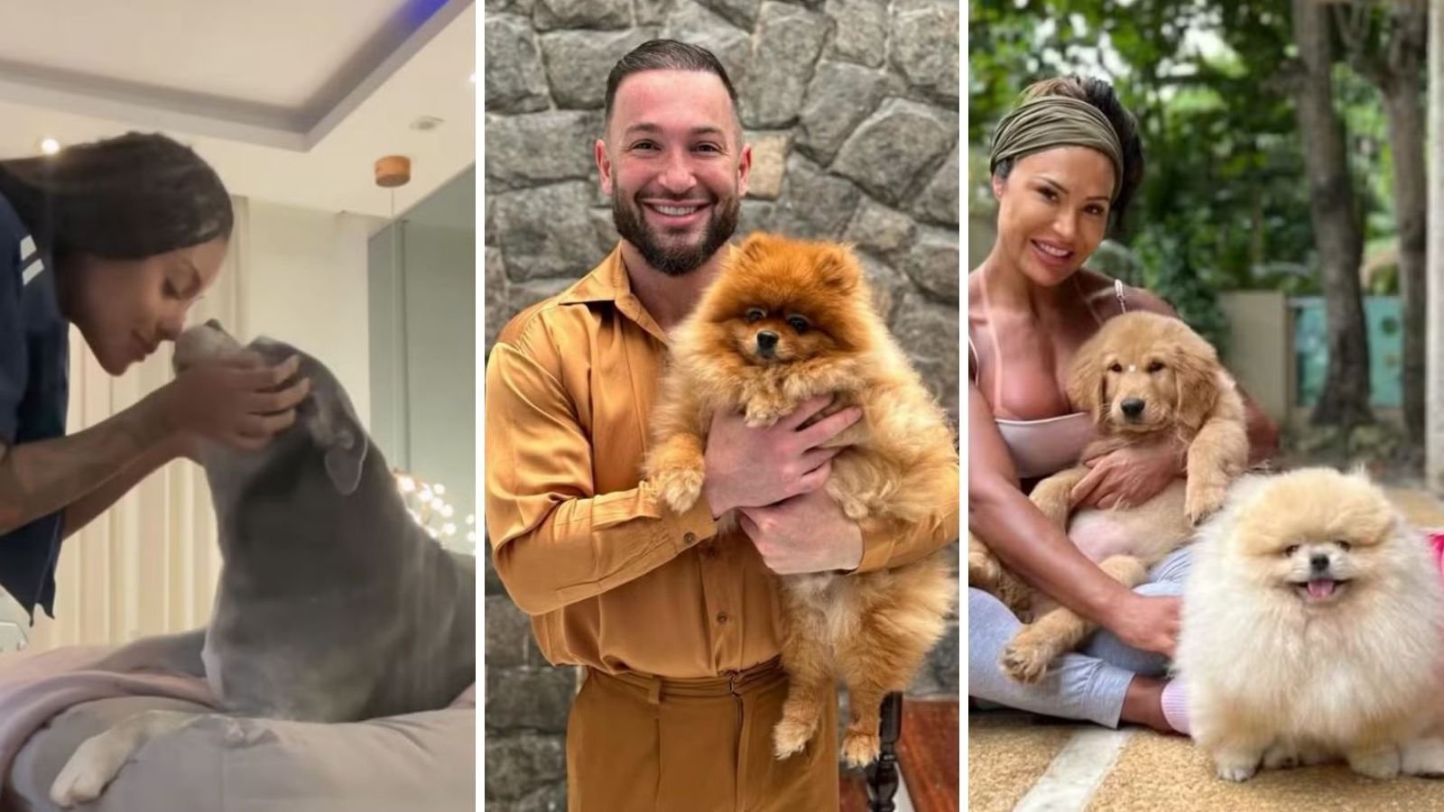 Kirinha, Mufasa e mais: conheça os pets dos participantes do BBB 25