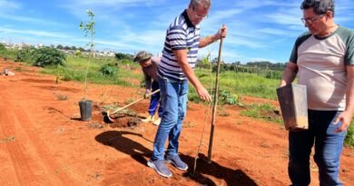 18.1. plantio no parque ecologico do riacho fundo. foto divulgacao brasilia ambiental 1536x1152