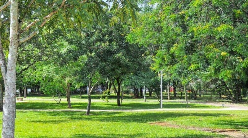 Remoção de invasão em Parque da Asa Sul de Brasília está suspensa