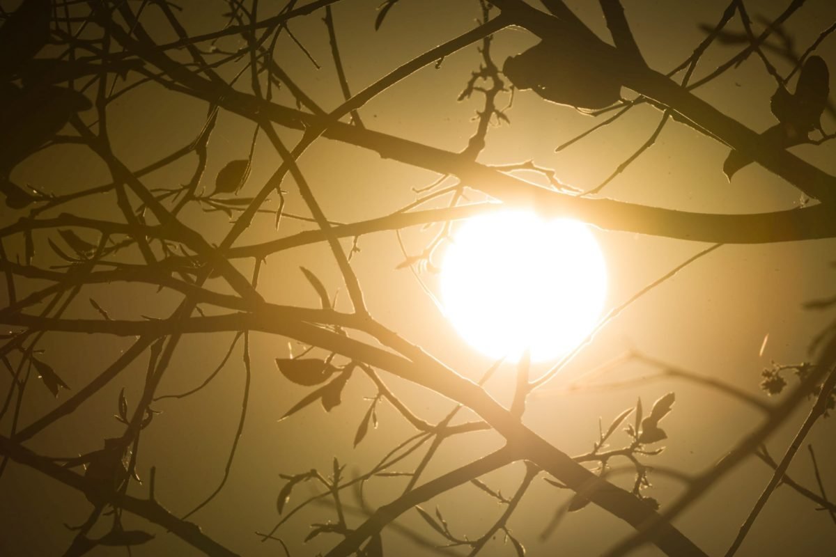 Verão: três capitais brasileiras batem recorde de calor. Saiba quais