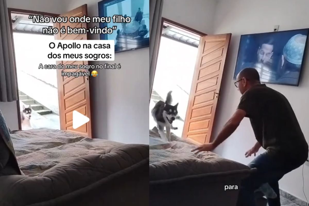 Vídeo: cachorro se empolga e apronta todas até tirar “avô” do sério