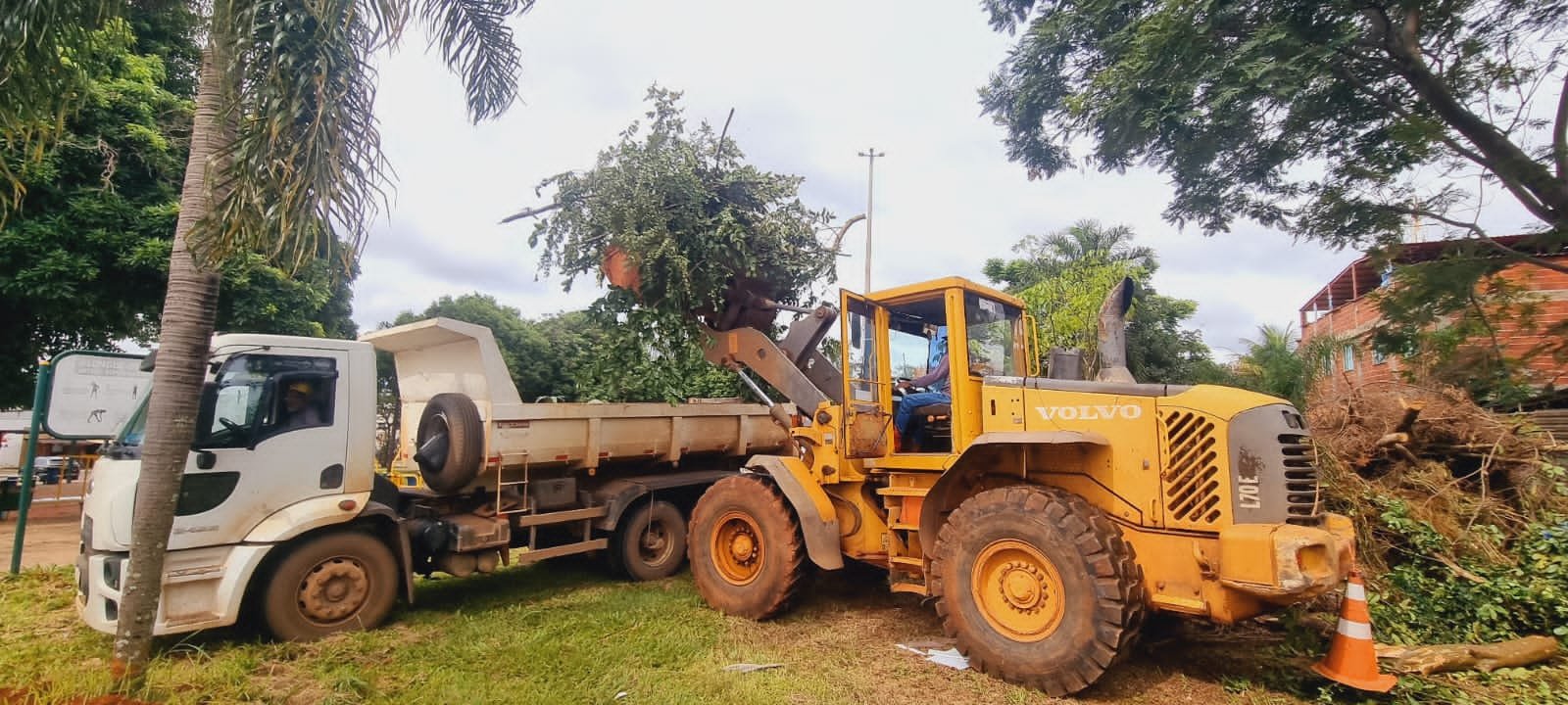 Áreas do Plano Piloto recebem ações de limpeza e manutenção