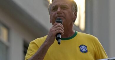 brazil politics independence day bolsonaro