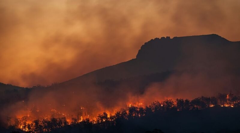 COP30: o que os cientistas dizem sobre o nosso momento climático global