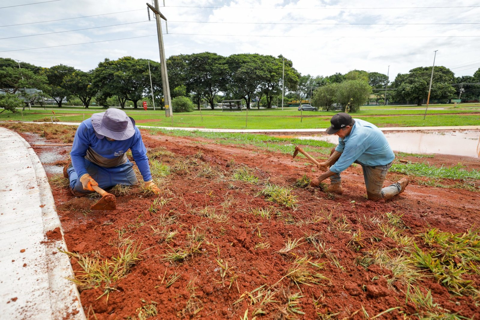 Drenar DF: Concluído plantio de árvores e arbustos no Parque Urbano Internacional da Paz