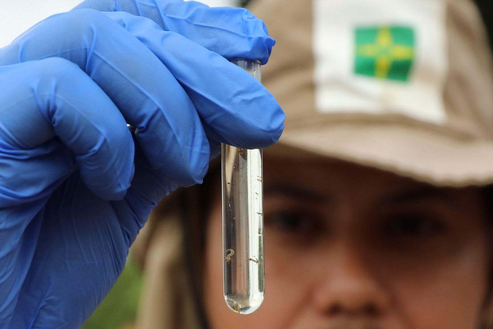 Nomeação de agentes, mutirões de limpeza e tecnologia fortalecem ações contra a dengue no DF