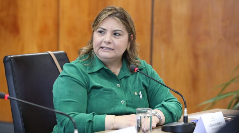 secretária de Saúde (SES) – Lucilene Maria Florêncio de Queiroz. .Foto: Paulo H Carvalho/Agência Brasília