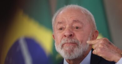 lula 6