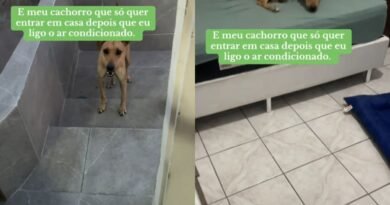 Ícone de sino para notificações