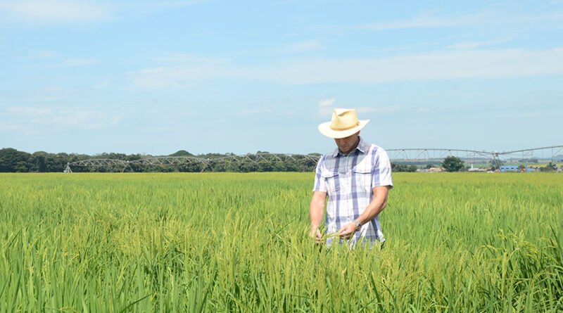 a13.3. materia adasa. sebastiao araujo