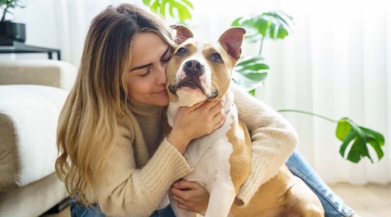 Humanos ainda não entendem emoções de seus cachorros, mostra estudo