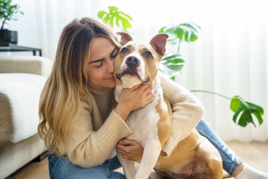 Humanos ainda não entendem emoções de seus cachorros, mostra estudo