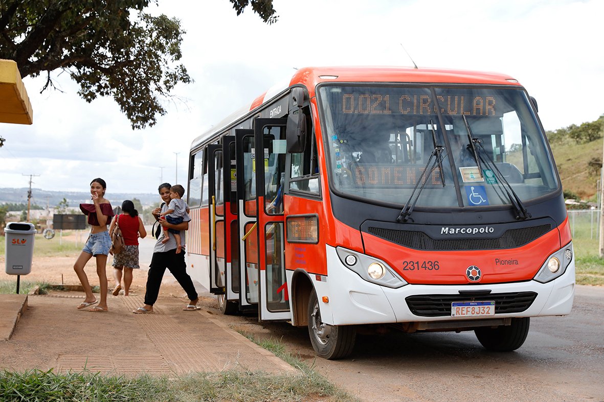 Zebrinhas, antes restritos ao Plano Piloto, agora circulam por diferentes regiões do DF